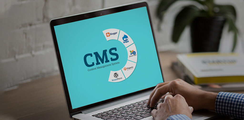 CMS Development